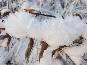 IMG_20201211_140151.jpg