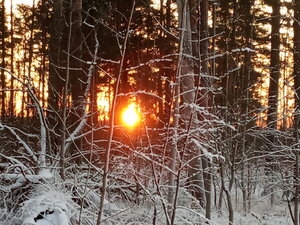 IMG_20201212_153654.jpg