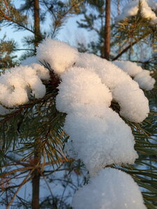 IMG_20201210_150315.jpg