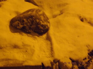 DSCF9814.JPG