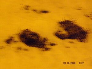 DSCF9805.JPG
