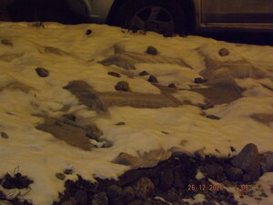 DSCF9807.JPG