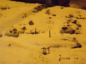 DSCF9810.JPG