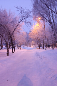 ДОРОГА.jpg