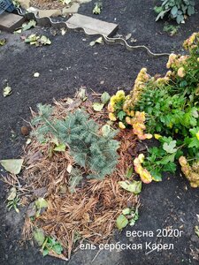 IMG_20201124_202422.jpg