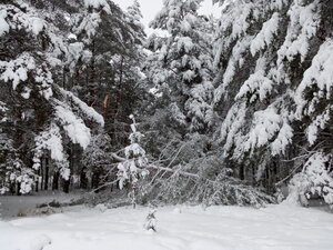 IMG_20210104_145113.jpg