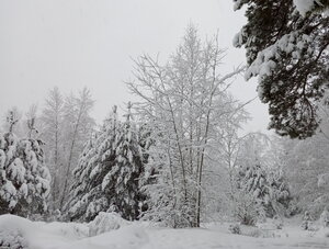 IMG_20210104_151027.jpg