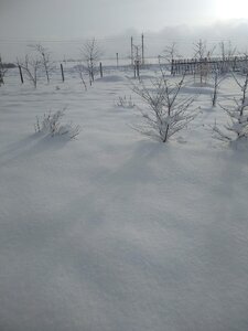 IMG_20210109_134959.jpg
