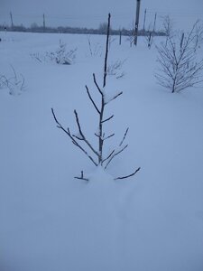 IMG_20210109_151844.jpg