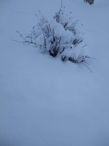 IMG_20210109_152013.jpg