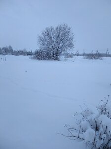 IMG_20210109_152019.jpg