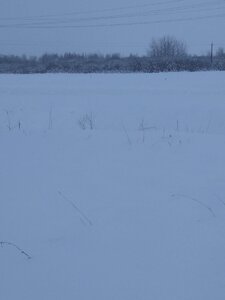 IMG_20210109_152415.jpg