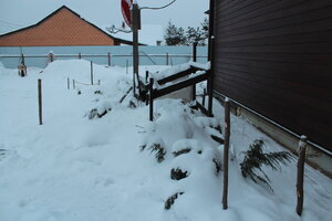 IMG_4464.JPG