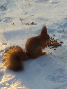 IMG_20210109_115646.jpg