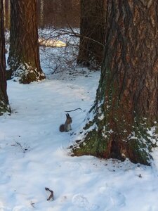 IMG_20210109_120653.jpg