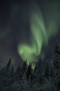2021.01.11 Мурманская область, Оленегорск-2 Автор Евгения Быковская_ 38VIgjkiuNQ — копия.jpg