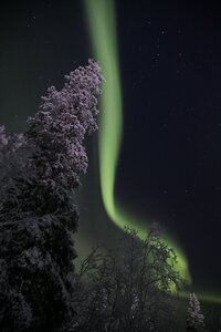 2021.01.11 Мурманская область, Оленегорск-2 Автор Евгения Быковская_ cpnEsT63aZw — копия.jpg