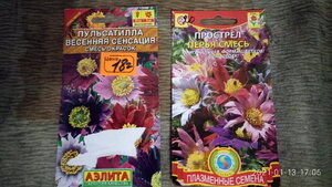 P10113-170646.jpg