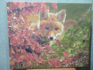 IMG_20210117_204323.jpg