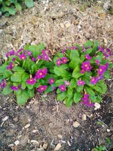 IMG_20160504_184807_1.jpg