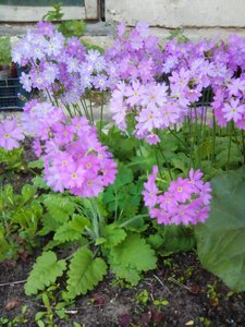 IMG_20160513_151520.jpg