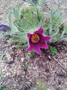 IMG_20160426_152644.jpg