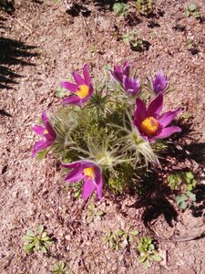IMG_20160429_135651.jpg