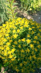 фотки 1255.jpg