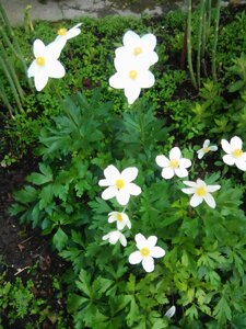 IMG_20160526_135859.jpg