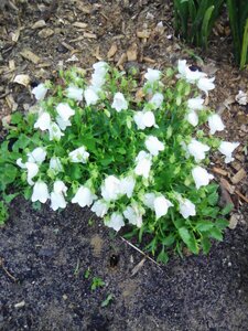IMG_20160607_184704_1.jpg