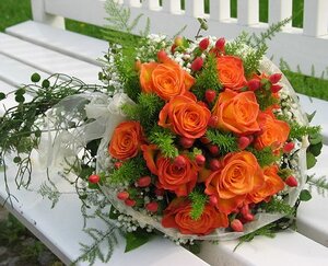 post51722_img1.jpg