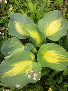 IMG_20160613_134656_1.jpg