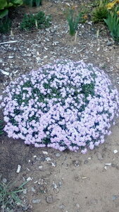 фотки 1311.jpg