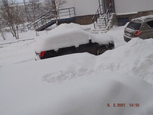 DSCF9830.JPG