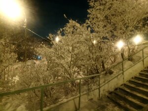 2021.02.04_ Фото Феди_ QrgUvMWIXOE.jpg