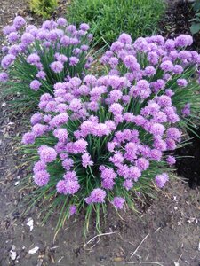 IMG_20160607_184546_1.jpg