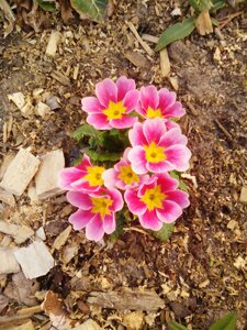 IMG_20160430_173157_1.jpg