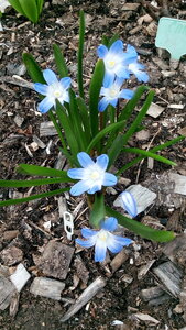 IMG_20190412_165051.jpg
