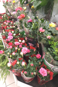 розочки.jpg
