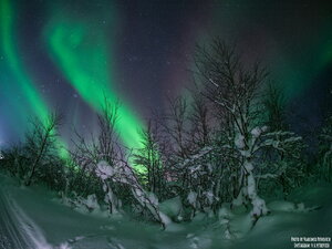 2021.02.12 Автор фото Владимир Петкевич _ GWwXHiRdzis.jpg