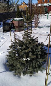 IMG_20210223_124255.jpg
