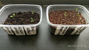 P10221-135002.jpg