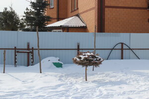 IMG_4757.JPG