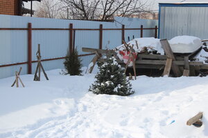 IMG_4759.JPG