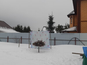 20210314_125818.jpg