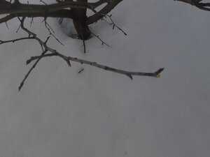 20210317_163348.jpg