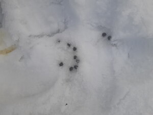20210317_163110.jpg