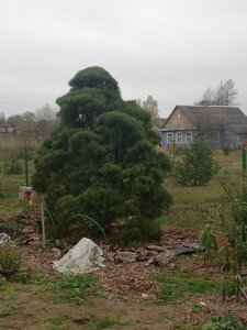 IMG_20201031_162310.jpg