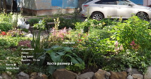 2020.08.28 Уч № 1 и 2 _ ф_ DSCF9067.jpg