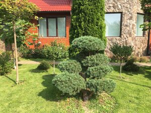 29DED720-A8FF-4EFC-8029-46BC7AB18228.jpeg